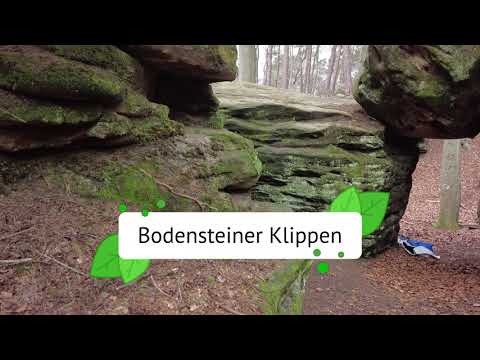 Bodensteiner Klippen