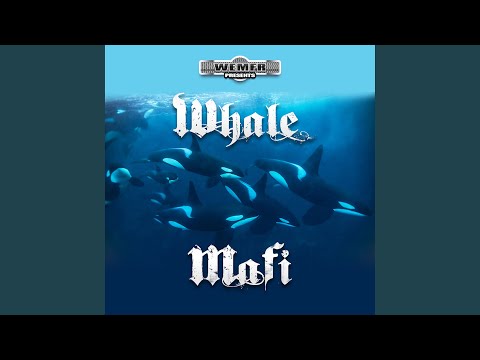 Whale Mafi (feat. Ampichino)
