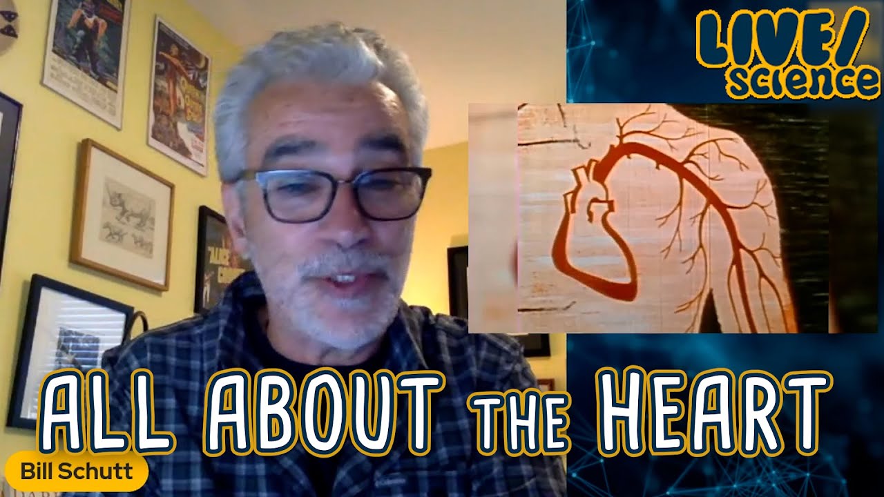 LIVE/science: All About the Heart