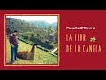 Paquito D'Rivera - La Flor de La Canela by Chabuca Granda