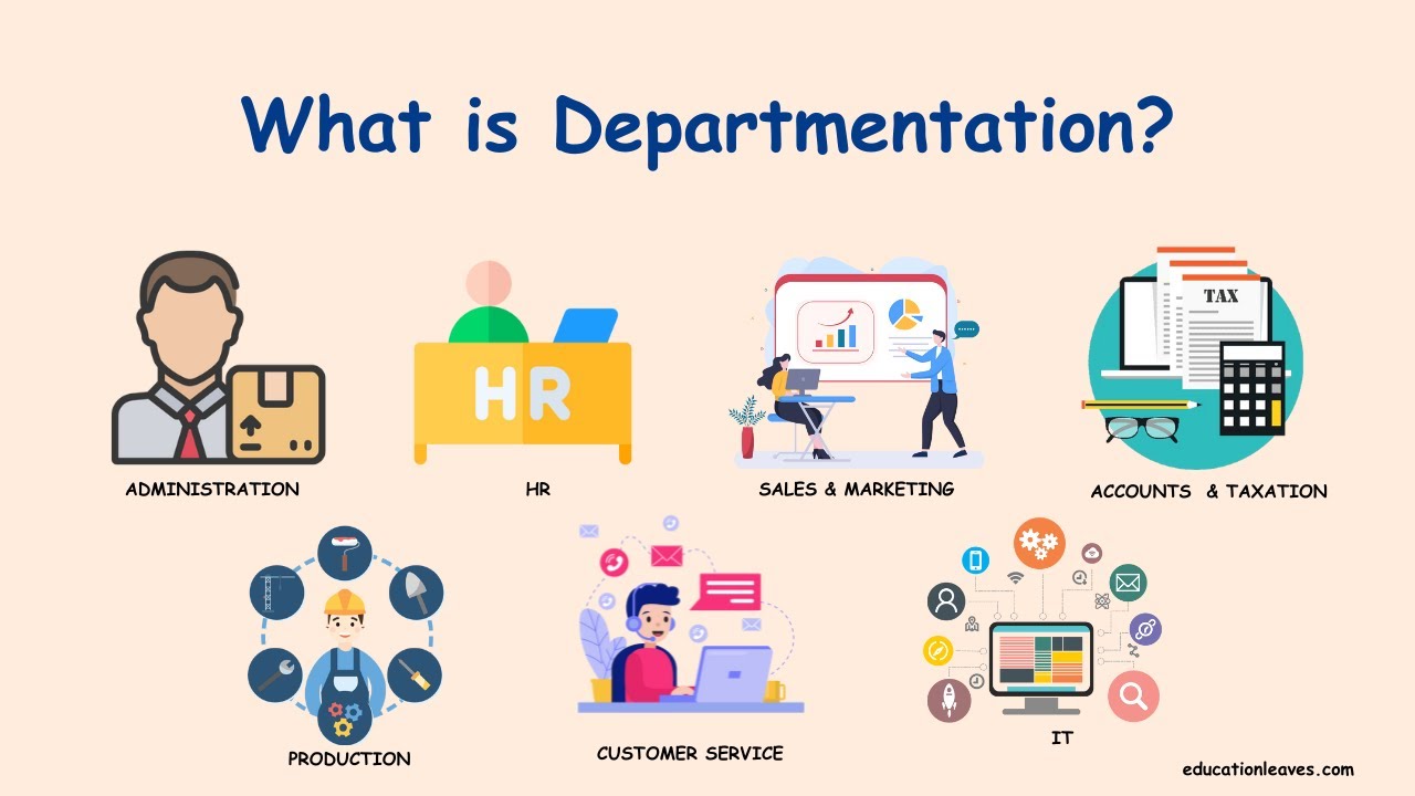 What is Departmentation? | Departmentalization