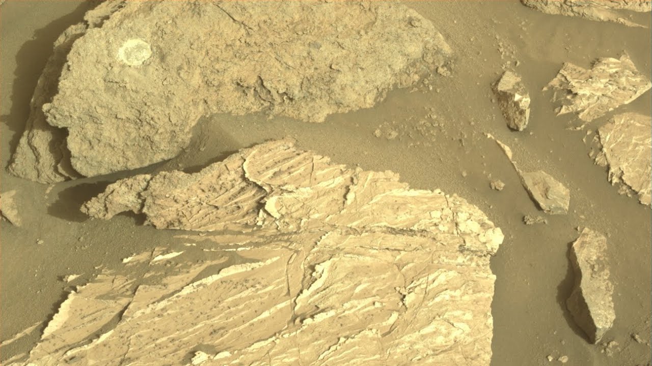 NASA's Mars Perseverance Rover Sol 1196: Left Navigation Camera #perseverance