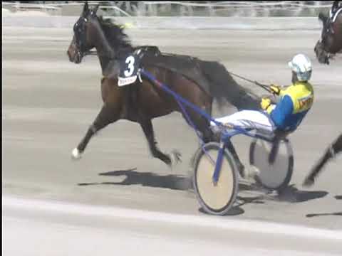 Trotto 14/04/2019 - 2ª corsa