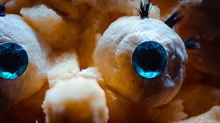 TURNING MYSELF INTO SPONGEBOB USING ONLY DRUGSTORE MAKEUP / PRODUCTS