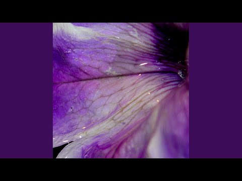 No Other Way (Illiya Korniyenko Remix)