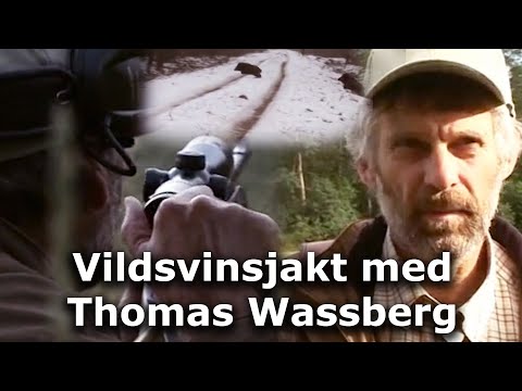 Jaktlust - Thomas Wassberg jagar vildsvin