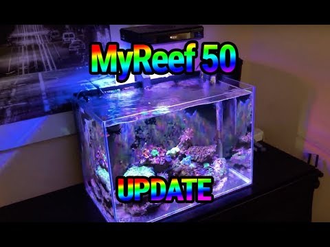 (138) MyReef 50 - Update - Akwarium morskie - Reef aquarium