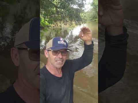 chuva na nossa Paraíba #agro #igaracy#nordeste