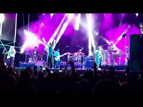 Macaco sfdk Green valley