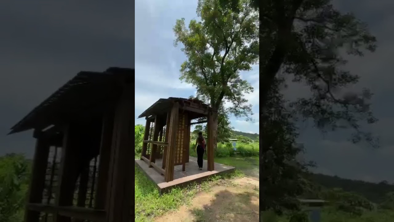 YouTube Short thumbnail