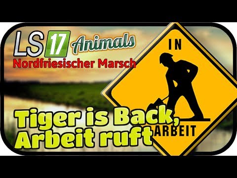 Tiger is Back, Arbeit ruft #073 ANIMALS - LS17 NORDFRIESISCHER MARSCH ★  FARMING SIMULATOR 17