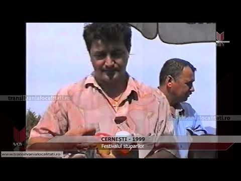CERNEȘTI-MM (1999) - Festivalul stuparilor