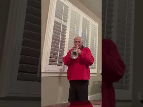 HAPPY TOGETHER   WAS A HIT BY “THE TURTLES”