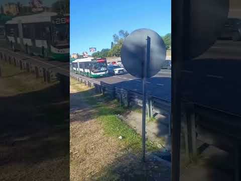 28 articulado coche 134 #colectivos #argentina #buenosaires #generalpaz