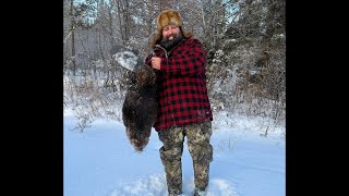 Q&A for Subscribers: Joe Holland is live!