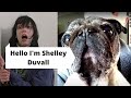 Pug Hello I M Shelley Duvall