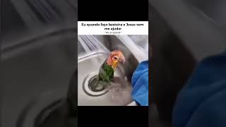 Foi um erro de cálculo