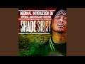 John Doe (feat. DJ Quik, AMG, HI-C, & Swift)