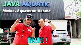 Visit Java Aquatic - Toko Aquascape dan Reef Terlengkap | Intip juga barang-barang sultan disini...