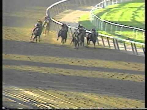 1994 Jockey Club Gold Cup - Colonial Affair