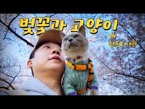 와 진짜 얘 뭐에요?? 강아지 아니였어?? 벚꽃 구경하는 시민들이 놀란 이유