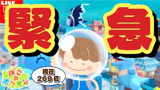【ぽこあポケモン】最新情報チェック！アプデまでに図鑑をコンプせよ！8月5日の海底の街が楽しみすぎるLIVE配信【ぽこポケ】