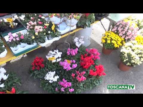 2017-10-31 PRATO - RICORRENZA DEFUNTI, IN CALO SPESA PER I FIORI