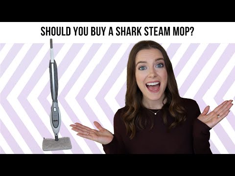 Shark Professional Steam Pocket Mop Review