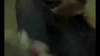 Dying Midwestern Trailer