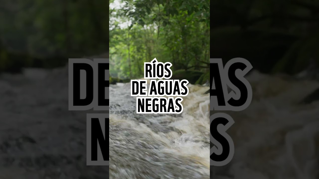 ¿Hay "razas" de ríos? 💧🚣‍♂️