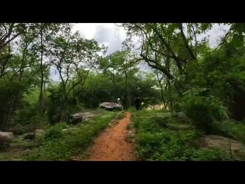 download lagu mp3 mp4 Kaiwara National Park, download mp3 Kaiwara National Park free downloadn, video klip Kaiwara National Park