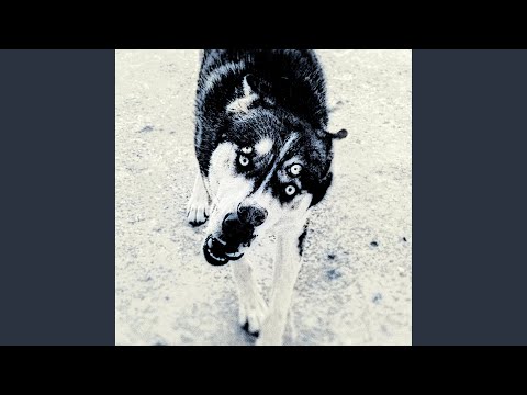 Video thumbnail for Platonik Aşk