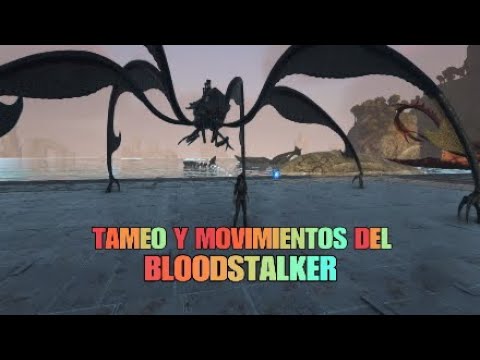 TAMEO Y MOVIMIENTOS DEL BLOODSTALKER