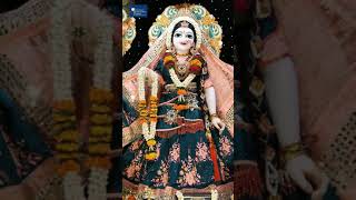 new whatsapp status radhe albeli sarkar hd full sc