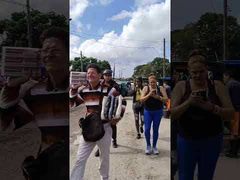 La CUEVITA en San Miguel Del Padrón #cuba #habana #shortsviral #cubanosporelmundo