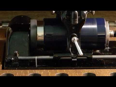 They Go Wild Simply Wild Over Me