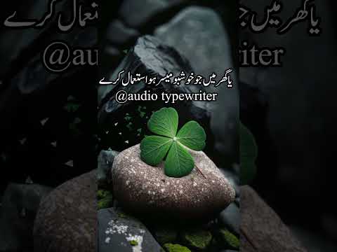 Friday Quotes || Jumma ki Fazilat #shorts #friday #fridaystatus #jummamubarak #fazilat #muslims