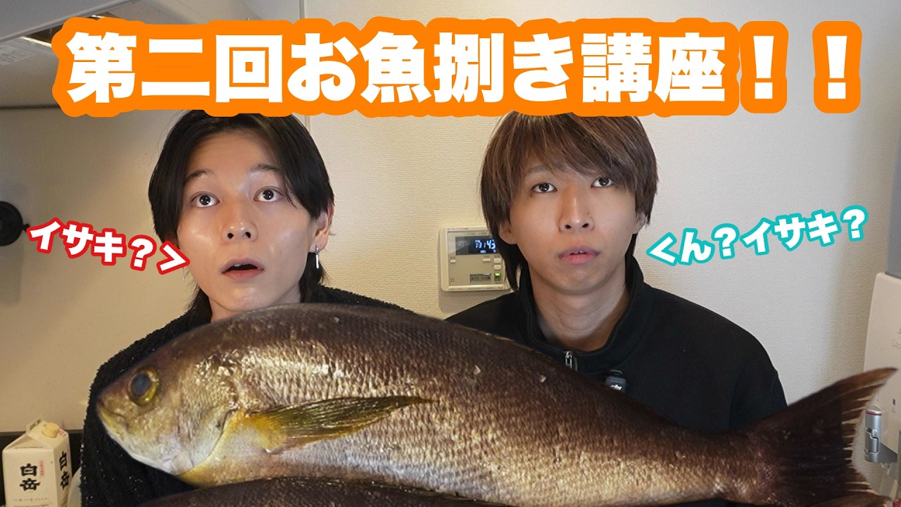 【第二回】お魚捌き講座！イサキで三枚おろしから姿作りまでレクチャー！！視聴者を代表してシンが捌きます！！