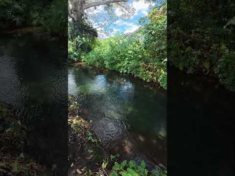 Así de cristalinos son los ríos de Sonsonate, Caluco 🇸🇻