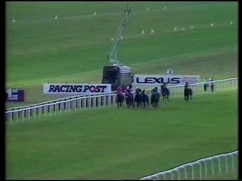 1990 Newgate Stud Middle Park Stakes