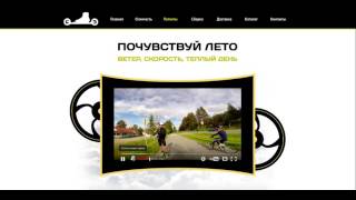 Аналитика сайта biasport.ru