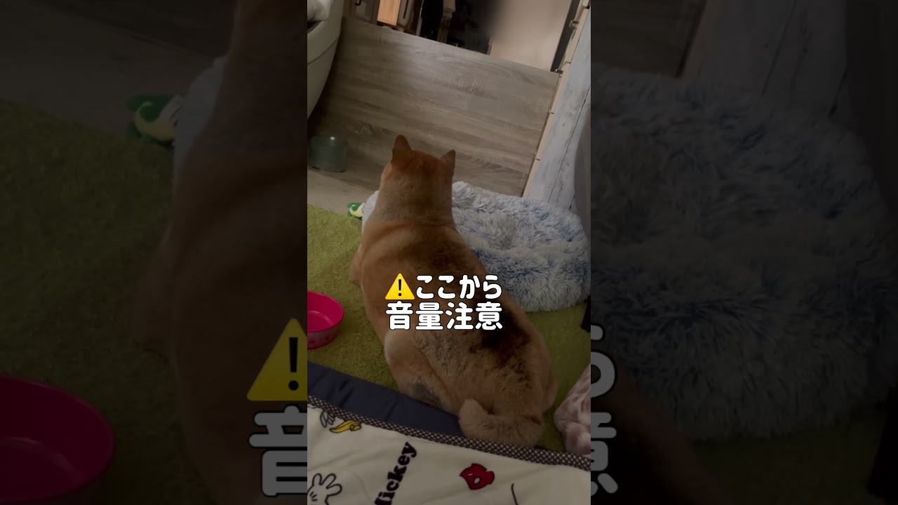 ブチギレの瞬間を見よ！