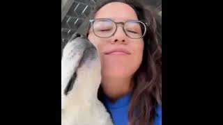 Video preview image #1 Siberian Husky-Unknown Mix Puppy For Sale in Corona, CA, USA