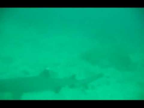 Isla Coiba, Isla Coiba,Panama