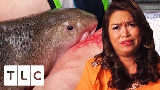 Shark Attack Victim Is Desperate To Save The Shark! | Untold Stories Of The ER