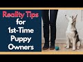 New Puppy Training Helpful Reality Tips For First Time Dog Owners