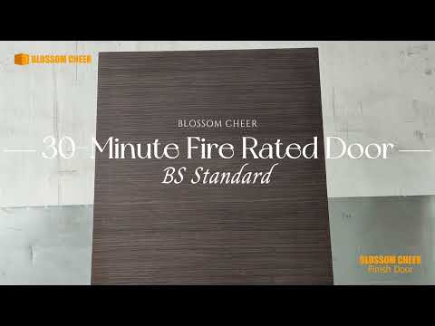 BC0273 BS Standard Door