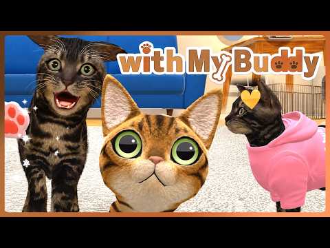 Video cover