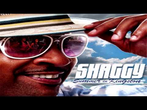 Shaggy - Dame ★ NEW 2011 ★