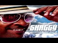 Shaggy - Dame ★ NEW 2011 ★